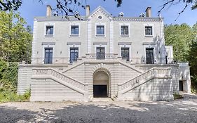 1 - Grand Appartement Spacieux Dans Un Chateau Du 17Eme Siecle, A 15Min De Lyon